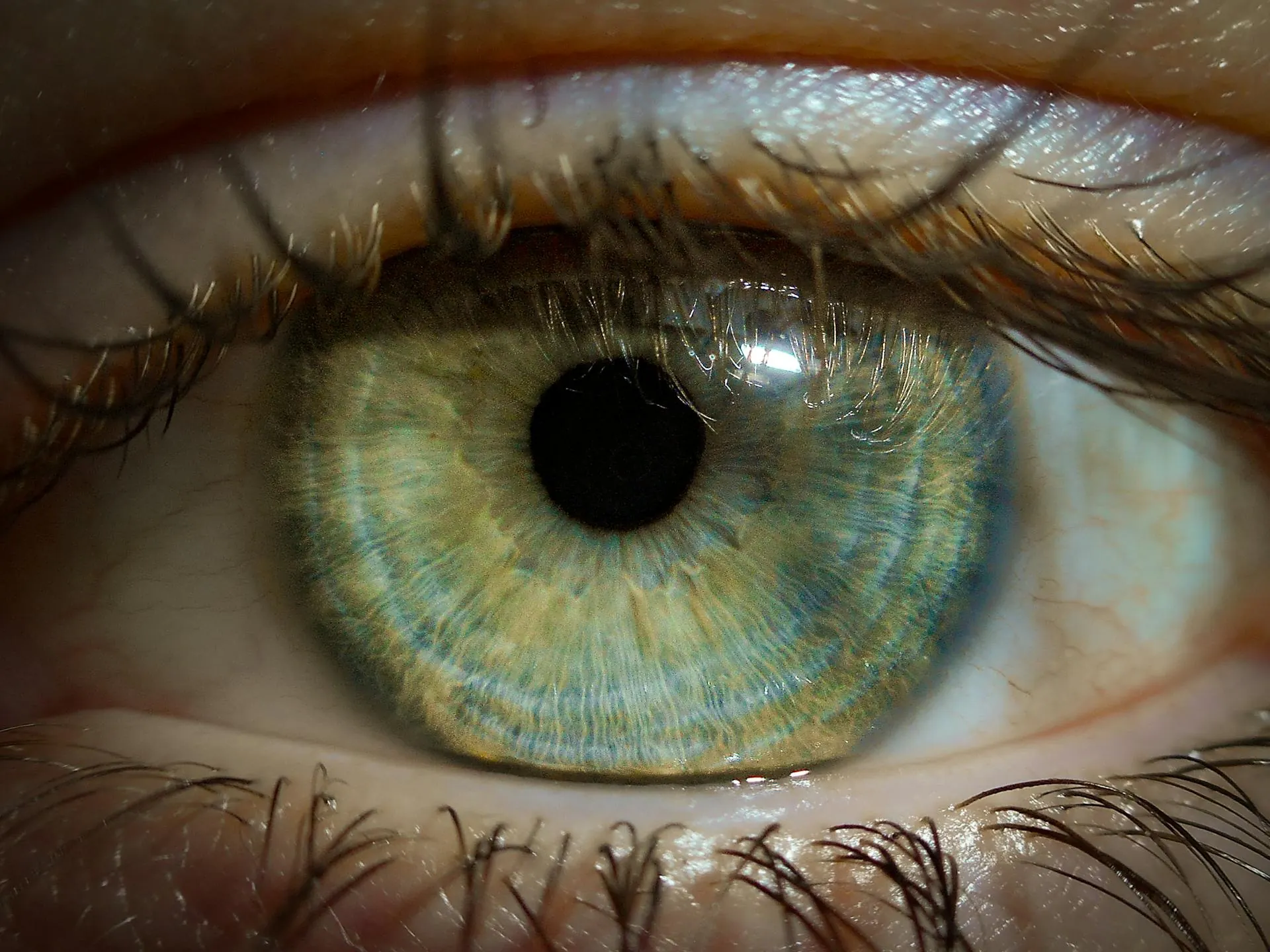 Investigación sobre el descanso ocular